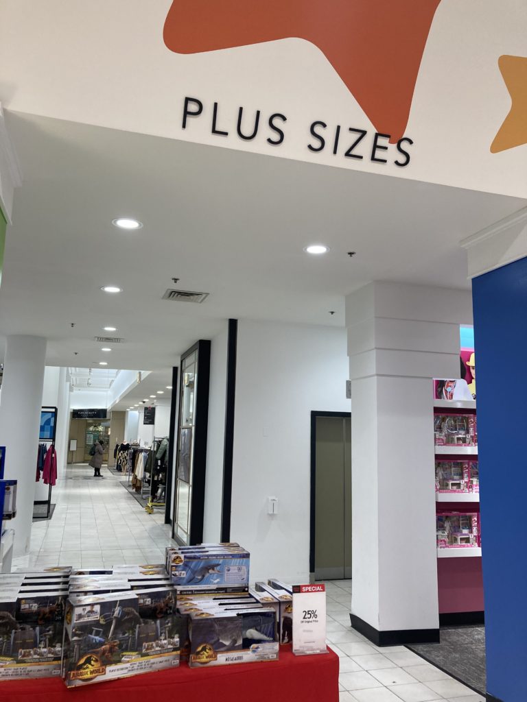 A shot of a hallway in Macy's, with "PLUS SIZES" in Macy's lettering above the hallway.